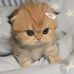 Jennie Ng - Facebook