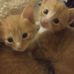 Jennifer Vanover - Facebook