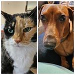 Jennifer Vanover - @jlynn9782020 - Instagram