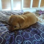 Jennifer Vanover - @jennifervanover123 - Instagram