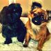 Jennifer Veit - Facebook