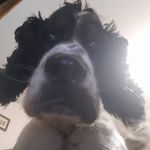 Jennifer Vining - @jennifer.vining.71 - Instagram