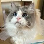 Jennifer Voth - @jenvoth - Instagram