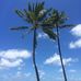 Jennifer Webb Walburn - Facebook