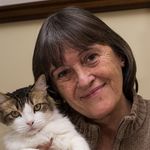 Jennifer Wallner - @wallner5800 - Instagram
