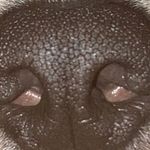 Jennifer Weidner - @weidner8774 - Instagram