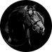 Jennifer Weisel - Facebook