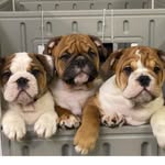 Jennifer Weisel - @jwweiselfamily - Instagram