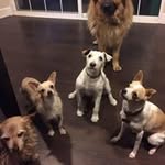 Jennifer Weitzel - @j.weitzel - Instagram
