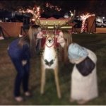 Jennifer Weld - @jennweld - Instagram