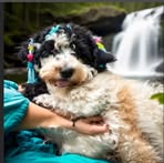 Jennifer Weld - Facebook