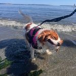 Jennifer Gref Welder - @jennwelder - Instagram