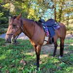Jennifer Whigham - @jenwhigham - Instagram