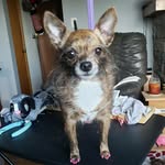 Jennifer whitcomb - @whitcomb1206 - Instagram