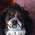Jennifer Whitcomb Elliott - @arjenwatty - Instagram