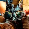 Jennifer Widmann - @_.jennjenn._ - TikTok