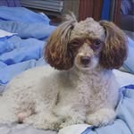 Jennifer Willman - @jennifer.willman.5 - Instagram