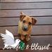 Jen Winningham O'Donnell - Facebook