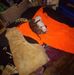 Jennifer Wright - Facebook