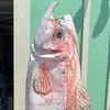 Jennifer Yao191 - @refinnej2061 - TikTok