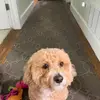 Jennifer Yao - @jenniferyao0 - TikTok