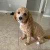 Jenniferyao190 - @jenniferyao190 - TikTok