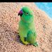 Jenny Abraham - Facebook