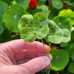 Jenny Abrams - @jennyabrams7 - Instagram