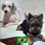 Jenny Alvarez - @carinho_de_bebe - Instagram
