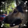 Jenny Weber Andersen - @jennyweberandersen - TikTok