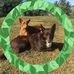 Jenny Atkinson - Facebook