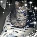 Jenny Atkinson - Facebook