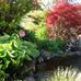 Jenny Atkinson - Facebook