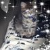 Jenny Atkinson - Facebook