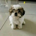 Jenny Bae - Facebook