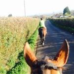 Jenny Baines - @nasama78 - Instagram