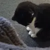 Jenny Baines - @jenny.baines - TikTok