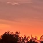 Jennah Baldock - @sunflowers_2012 - Instagram