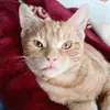 jenny baran - @jennybaran0 - TikTok