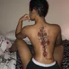 Jenny barley - @jenny..barley - TikTok