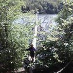 Jenny Baron - @baronjenny - Instagram
