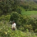 Jenny Baron - @jenny.baron.311 - Instagram
