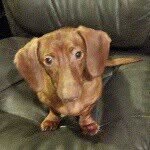 Jenny Barron - @tcb1968 - Instagram