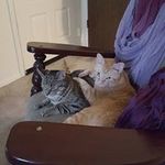Jenny Bartels - @bartels_jenny - Instagram
