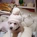 Jenny Bartlett - Facebook