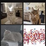 Jenny Bartlett - @jenny.bartlett.520 - Instagram