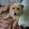 Jenny Bartlett - @jennybartlett1 - TikTok