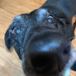 Jenny Bartlett Bodelson - @thriftyjenb - Instagram