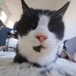 Jenny Barton - @jenny_barton_430 - Instagram
