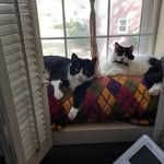 Jenny Baty - @norfolk13 - Instagram